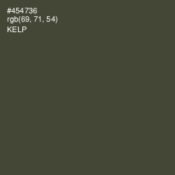 #454736 - Kelp Color Image