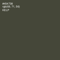 #454738 - Kelp Color Image