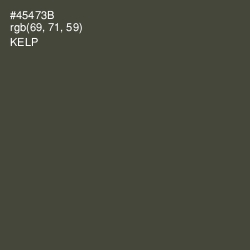 #45473B - Kelp Color Image