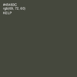 #45483C - Kelp Color Image