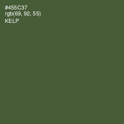#455C37 - Kelp Color Image