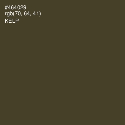 #464029 - Kelp Color Image