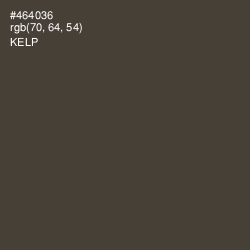 #464036 - Kelp Color Image