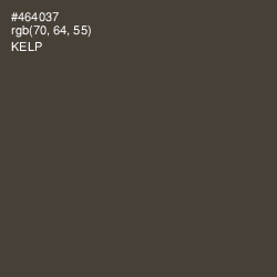 #464037 - Kelp Color Image