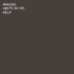 #46403C - Kelp Color Image