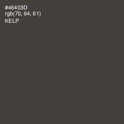 #46403D - Kelp Color Image