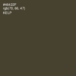 #46422F - Kelp Color Image