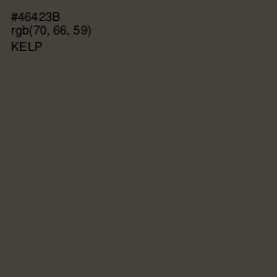 #46423B - Kelp Color Image