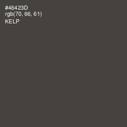 #46423D - Kelp Color Image