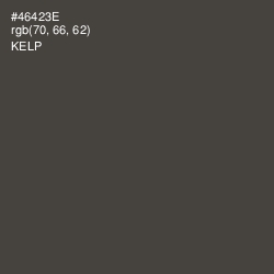 #46423E - Kelp Color Image