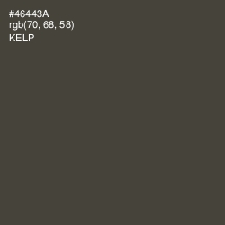 #46443A - Kelp Color Image