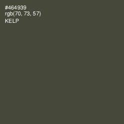 #464939 - Kelp Color Image