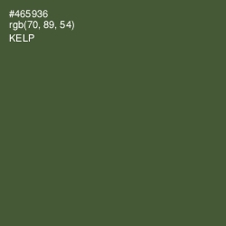 #465936 - Kelp Color Image