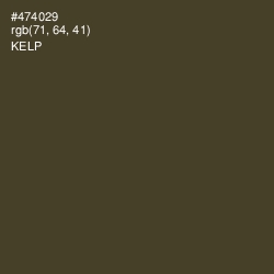 #474029 - Kelp Color Image