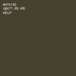 #474130 - Kelp Color Image