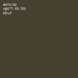 #474132 - Kelp Color Image