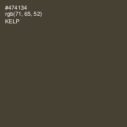 #474134 - Kelp Color Image