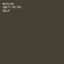 #474135 - Kelp Color Image