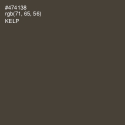 #474138 - Kelp Color Image