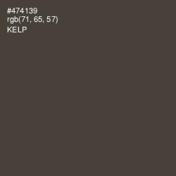 #474139 - Kelp Color Image