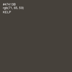 #47413B - Kelp Color Image