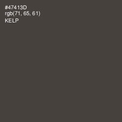 #47413D - Kelp Color Image