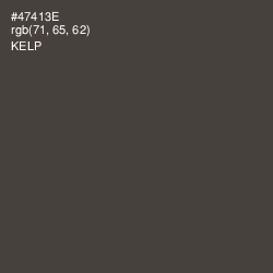 #47413E - Kelp Color Image