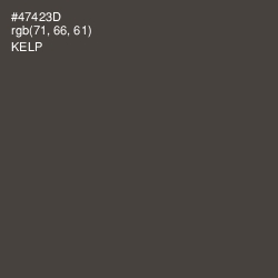 #47423D - Kelp Color Image
