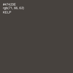 #47423E - Kelp Color Image