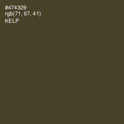 #474329 - Kelp Color Image