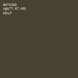#474330 - Kelp Color Image