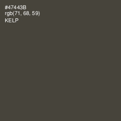 #47443B - Kelp Color Image