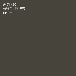 #47443C - Kelp Color Image