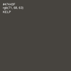 #47443F - Kelp Color Image