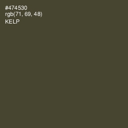 #474530 - Kelp Color Image