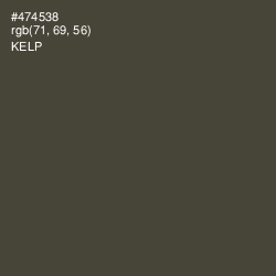 #474538 - Kelp Color Image