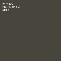 #47453C - Kelp Color Image