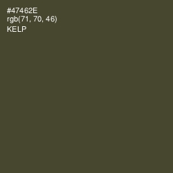 #47462E - Kelp Color Image