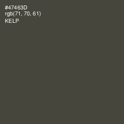 #47463D - Kelp Color Image