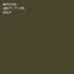 #47472D - Kelp Color Image