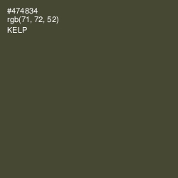 #474834 - Kelp Color Image