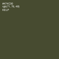 #474C30 - Kelp Color Image