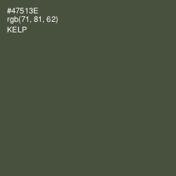 #47513E - Kelp Color Image