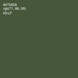 #47583A - Kelp Color Image