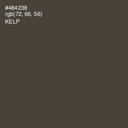 #484238 - Kelp Color Image