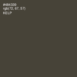 #484339 - Kelp Color Image