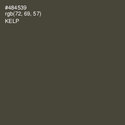 #484539 - Kelp Color Image