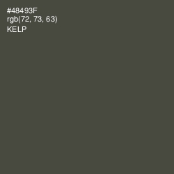 #48493F - Kelp Color Image