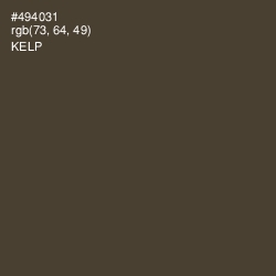 #494031 - Kelp Color Image