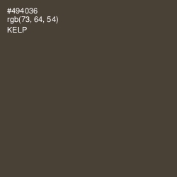 #494036 - Kelp Color Image